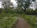 Thorpe Wood, City of Peterborough, East of England, England, United Kingdom