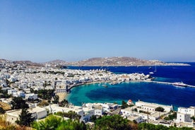 Private Mykonos Tour Tailor-Made | Choice of the guest