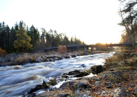 Photo of beautiful river scenery with cliffs, forest and rapids in Koitelinkoski in Oulu, Finland.