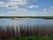 Farlington Marshes Nature Reserve, Portsmouth, South East England, England, United Kingdom