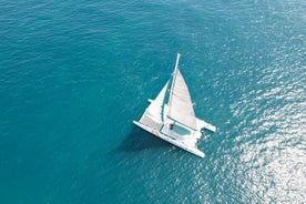 Une journée en mer à bord du catamaran Mundo Marino à Valence