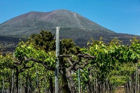 Pompei e degustazione di vini sulle pendici del Vesuvio con partenza da Napoli