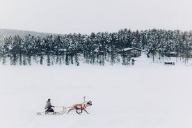 Daytime Experience in Jukkasjärvi