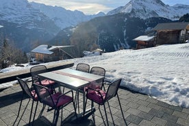 Le meilleur de l'Oberland bernois et de la campagne suisse (visite privée)