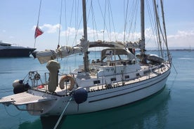 Charte de voile le long du littoral maltais incl. Déjeuner et boissons