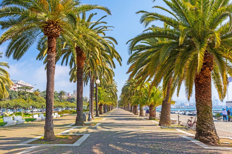 shutterstock_296004209.jpg