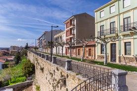 León - city in Spain