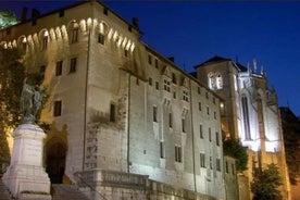 CÂMARA Excursão a pé privada no centro histórico de Chambéry