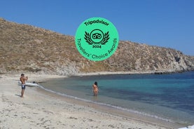 All Included Mykonos South Beaches, Rhenia and Delos Islands (free transfers)