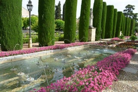 Cordoba Monuments Intensive Tour in English