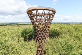 La tour de la forêt et les géants oubliés - Une excursion d'une journée au départ de Copenhague