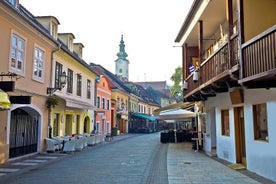 Tour privato di Zagabria da Bled