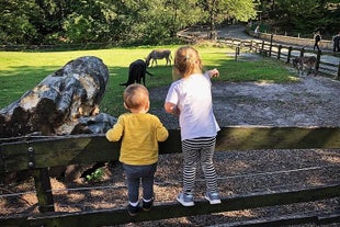 Heimat-Tierpark Olderdissen