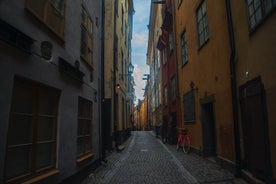 Scandinavian Capital: 3-Hour Private Stockholm Photography Tour