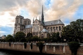 Notre Dame and city center of Paris with local guide