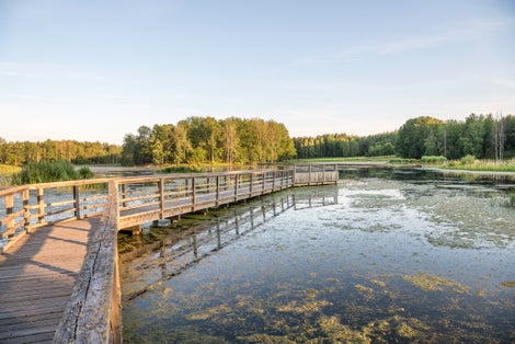photo of Jetty next to Rosenkällasjön in Tinnerö eklandskap in Sweden.