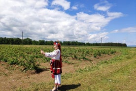 Besuchen Sie die Demo zu Lavender Fields & Lavender Oil Extraction