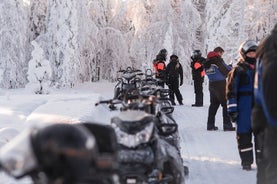 2 Stunden Schneemobilsafari in die Natur von Levi