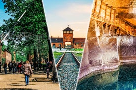 Krakow: Auschwitz & Wieliczka Salt Mine Guided Day Tour