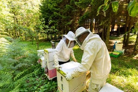 Biodlare Upplevelse i Holomontas berg