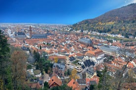 Châteaux du Rhin et Riesling royal. Dégustation de vin le long du Rhin