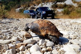 Escursione a terra di Corfù al Monte Pantokrator con pranzo