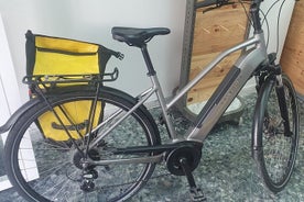 Alquiler de Bicicleta por Día en Sevilla