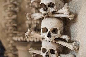 Excursion d’une demi-journée à Kutna Hora au départ de Prague