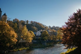 Sanglier Des Ardennes