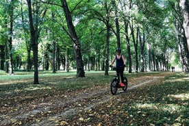 Versailles: Path of the Heroes on original electrics 2 wheels