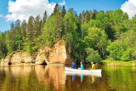 From Riga: Full-Day Scenic Gauja River Valley Kayaking Trip