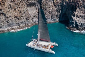 Tenerife: Catamaran Cruise with Brunch and Unlimited Drinks