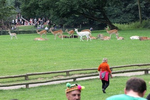 Wildpark Grafenberger Wald