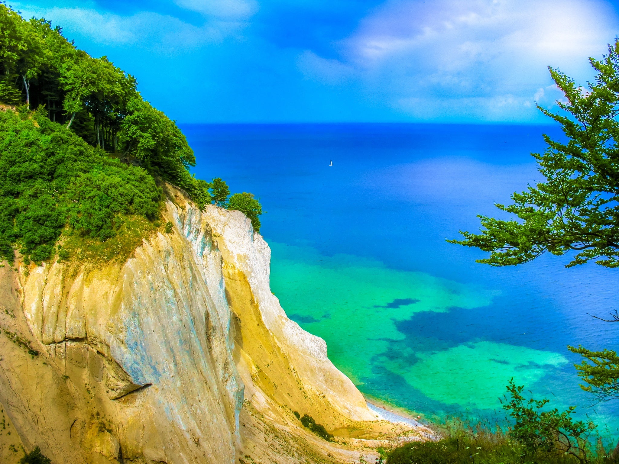 Top of the white cliffs Mons Klint in Denmark.jpg