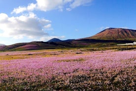 Tours privados personalizados da ilha de Lanzarote