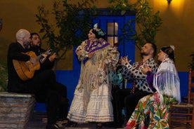 Marbella: Flamenco Sýning með Drykk