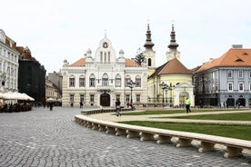 Privater Transfer vom Flughafen Timisoara Aurel Vlaicu nach Timisoara