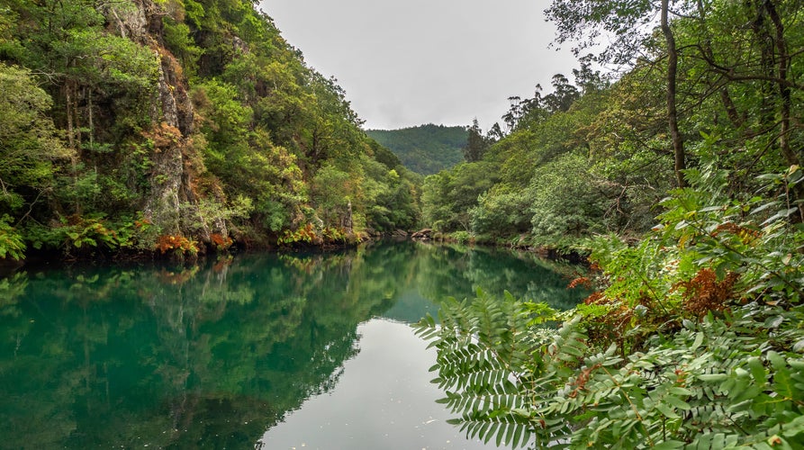 Photo of Fragas do Eume Natural Park at Pontedeume La Coruña Galicia Spain Europe.