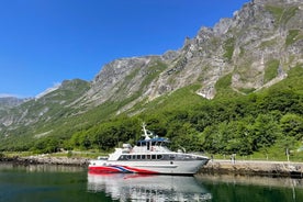 All About the Fjords in One Tour by Boat and Bus from Ålesund