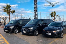 Aeropuerto de Fráncfort (FRA) a Fráncfort - Llegada Traslado privado en furgoneta