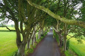 Full-Day Private Giant's Causeway Experience