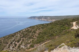 Alquiler de Bicicleta de Montaña