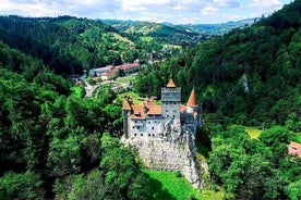 Bran Castle of Dracula: trasferimento privato dall'aeroporto OTP di Bucarest