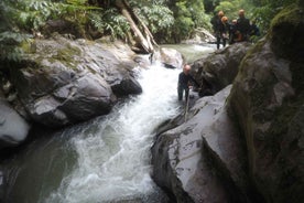 Sao Miguel, Azores: Canyoning Experience at Ribeira Grande