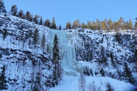 Guidet tur til Korouoma National Park (frosne vandfald)