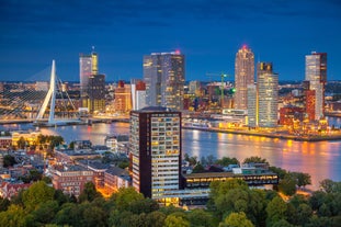 Top 10 Itineraries in Rotterdam