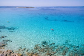 Dugi Otok: mezza giornata in kayak