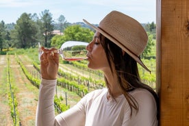 Tour di un'intera giornata delle cantine dell'Algarve da Albufeira