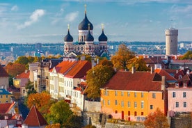 Excursão terrestre privada de dia inteiro em Tallinn saindo do porto de cruzeiros de Tallinn