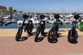 Location de vélos électriques Isla Canela Journée complète